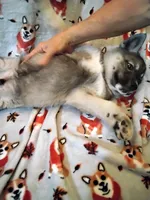 processed/6167934c-0dc1-4aa0-8163-414855ad01c3/listing/d0676307-a377-4d12-b47b-724454e84160/7719a1c5-b1ba-4fee-9a12-a89486f2c985