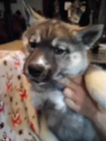 processed/6167934c-0dc1-4aa0-8163-414855ad01c3/listing/d0676307-a377-4d12-b47b-724454e84160/832c51ba-0e8d-4663-88a1-0f719fda4e80