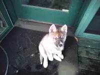 processed/6167934c-0dc1-4aa0-8163-414855ad01c3/listing/d0676307-a377-4d12-b47b-724454e84160/f8e5d7ae-5d80-43d7-8ffb-ca68f705f3d0