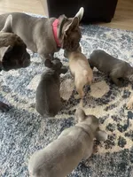 processed/61768605-e29d-479a-ad01-2513ff281858/facility/0eeec557-1f75-4b51-b60e-5b061ac35f3d