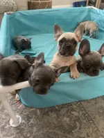 processed/61768605-e29d-479a-ad01-2513ff281858/facility/29aa02e7-c6b7-4cca-b104-fc7981cc7be4