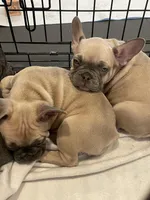 processed/61768605-e29d-479a-ad01-2513ff281858/facility/2ec6fbff-6b0d-4005-808b-86f311dd5b8e