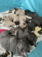 processed/61768605-e29d-479a-ad01-2513ff281858/facility/5a40c224-ce46-4ef1-b302-9856a2f8fa76