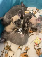 processed/61768605-e29d-479a-ad01-2513ff281858/facility/8363277d-7b65-4d5a-9927-8f7cf02342c7