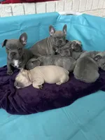 processed/61768605-e29d-479a-ad01-2513ff281858/facility/8cf0630b-db3c-464d-b266-c5b4f9024d33