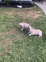 processed/61768605-e29d-479a-ad01-2513ff281858/facility/9318ee86-6c6f-4518-8cb1-da693282d136