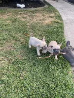 processed/61768605-e29d-479a-ad01-2513ff281858/facility/fb2927c0-dc94-499f-9c76-9a756b9d806b