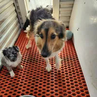 processed/6177407d-b9b2-401c-afff-9b7cb1a918ed/facility/1924a66b-7991-4352-9289-51460b0bd078