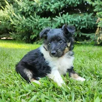 processed/6177407d-b9b2-401c-afff-9b7cb1a918ed/facility/1a2e9c0e-90d1-4950-8928-d7bdcdb8146f