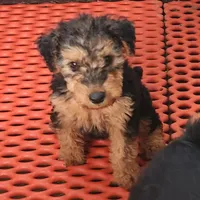 processed/6177407d-b9b2-401c-afff-9b7cb1a918ed/facility/b6937b8a-26e4-4634-944d-9e72db224af2