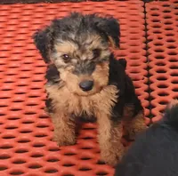 processed/6177407d-b9b2-401c-afff-9b7cb1a918ed/facility/b6937b8a-26e4-4634-944d-9e72db224af2