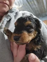 processed/6177407d-b9b2-401c-afff-9b7cb1a918ed/listing/6bd37bdc-62bd-4797-a549-809a747da247/61df42a5-5a41-4b35-bd7a-50588f115f97