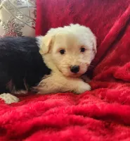 processed/6177407d-b9b2-401c-afff-9b7cb1a918ed/listing/81413792-cae5-42e2-a098-2f9c1377f3c9/4265cc0b-f8c7-4d2e-af14-7f69112100e8