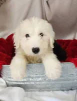 processed/6177407d-b9b2-401c-afff-9b7cb1a918ed/listing/81413792-cae5-42e2-a098-2f9c1377f3c9/5a577e43-3311-4f18-938c-989e9058a187