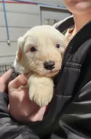 processed/6177407d-b9b2-401c-afff-9b7cb1a918ed/listing/81413792-cae5-42e2-a098-2f9c1377f3c9/9ffc019e-4bc9-42b9-bd9f-90193b75f314