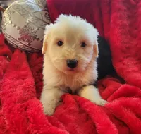 processed/6177407d-b9b2-401c-afff-9b7cb1a918ed/listing/81413792-cae5-42e2-a098-2f9c1377f3c9/d2743cde-c47e-4e21-ab50-522b5fcae61e