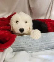 processed/6177407d-b9b2-401c-afff-9b7cb1a918ed/listing/81413792-cae5-42e2-a098-2f9c1377f3c9/e18b3a2f-edf7-42f9-ab89-fcb8325b28a3