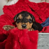 processed/6177407d-b9b2-401c-afff-9b7cb1a918ed/listing/899e2b4f-3455-4b65-adf7-aca7d1e4a7bd/068a9e8f-3fa7-4484-bfd3-bbe269e1306a