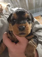 processed/6177407d-b9b2-401c-afff-9b7cb1a918ed/listing/899e2b4f-3455-4b65-adf7-aca7d1e4a7bd/76dc0beb-f375-4194-9436-23962372f021