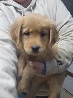 processed/6177407d-b9b2-401c-afff-9b7cb1a918ed/listing/cb879ed3-ce7a-40ee-a312-da276d3b15e6/667cbc14-d37c-4bf2-90d9-dd19f5a4f4a1