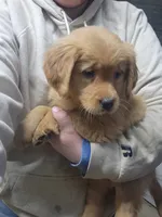 processed/6177407d-b9b2-401c-afff-9b7cb1a918ed/listing/cb879ed3-ce7a-40ee-a312-da276d3b15e6/6c3ac538-28f8-4465-851c-a9752a1f291b