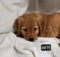 processed/6177407d-b9b2-401c-afff-9b7cb1a918ed/listing/cb879ed3-ce7a-40ee-a312-da276d3b15e6/98968d9b-523d-4d24-8592-bc3c20535e8f