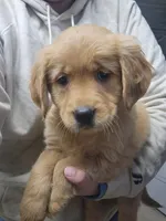 processed/6177407d-b9b2-401c-afff-9b7cb1a918ed/listing/cb879ed3-ce7a-40ee-a312-da276d3b15e6/e5aec494-fe93-4fea-a519-fdaebd08c584