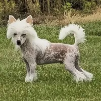 processed/6180d114-bd51-4346-b1e8-3049f9d55fdf/facility/2dc0032f-1c4b-475e-8263-a8d73c12a428