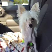 processed/6180d114-bd51-4346-b1e8-3049f9d55fdf/facility/476a7d1a-8072-468c-99fe-167ce54b0a73