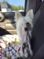 processed/6180d114-bd51-4346-b1e8-3049f9d55fdf/facility/476a7d1a-8072-468c-99fe-167ce54b0a73