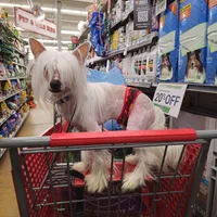 processed/6180d114-bd51-4346-b1e8-3049f9d55fdf/facility/54aa02dd-6093-45aa-b475-627bcaf39396