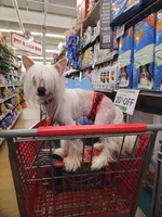 processed/6180d114-bd51-4346-b1e8-3049f9d55fdf/facility/54aa02dd-6093-45aa-b475-627bcaf39396