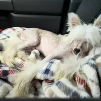 processed/6180d114-bd51-4346-b1e8-3049f9d55fdf/facility/91a65f7a-de63-412a-8945-8228097c075e