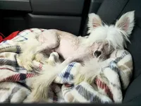 processed/6180d114-bd51-4346-b1e8-3049f9d55fdf/facility/91a65f7a-de63-412a-8945-8228097c075e