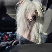 processed/6180d114-bd51-4346-b1e8-3049f9d55fdf/facility/ebca27c6-28d4-40e3-ae94-1c67952dd302