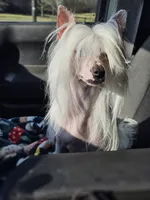 processed/6180d114-bd51-4346-b1e8-3049f9d55fdf/facility/ebca27c6-28d4-40e3-ae94-1c67952dd302