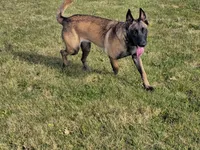 processed/6180d114-bd51-4346-b1e8-3049f9d55fdf/listing/10abfff3-8e65-45ff-8799-ab952ba7524b/13a004ad-ff29-4062-a145-650f7713e052