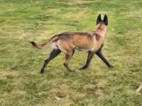 processed/6180d114-bd51-4346-b1e8-3049f9d55fdf/listing/10abfff3-8e65-45ff-8799-ab952ba7524b/31854cfa-afdb-456d-a16a-e6c141200ebf