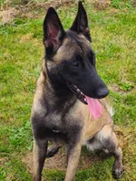 processed/6180d114-bd51-4346-b1e8-3049f9d55fdf/listing/10abfff3-8e65-45ff-8799-ab952ba7524b/6feaa98b-baba-4134-9591-1f38f133dac9