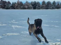 processed/6180d114-bd51-4346-b1e8-3049f9d55fdf/listing/10abfff3-8e65-45ff-8799-ab952ba7524b/7db99e8e-4657-4c99-9b05-48221a302cea