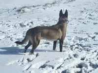 processed/6180d114-bd51-4346-b1e8-3049f9d55fdf/listing/10abfff3-8e65-45ff-8799-ab952ba7524b/c12b744f-73d3-47e2-8dee-d44459300bb9