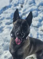 processed/6180d114-bd51-4346-b1e8-3049f9d55fdf/listing/10abfff3-8e65-45ff-8799-ab952ba7524b/c7969727-a03e-429b-a278-48e099b7c8fb