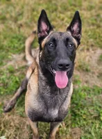 processed/6180d114-bd51-4346-b1e8-3049f9d55fdf/listing/10abfff3-8e65-45ff-8799-ab952ba7524b/e131b292-f8e8-4dfd-adc1-98ea5058a77c