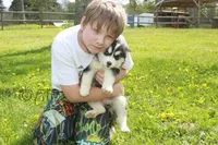 processed/6190875c-1634-4aad-8480-2787a4c2b2b2/facility/2247fe70-557b-42f4-99b1-baa4f3b3f3d7