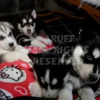 processed/6190875c-1634-4aad-8480-2787a4c2b2b2/facility/6fef7409-d505-49d9-a3e1-93246a75ed37