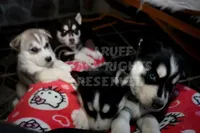 processed/6190875c-1634-4aad-8480-2787a4c2b2b2/facility/6fef7409-d505-49d9-a3e1-93246a75ed37