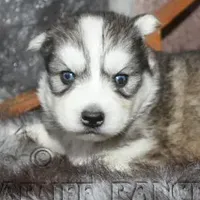 processed/6190875c-1634-4aad-8480-2787a4c2b2b2/facility/bd3e5677-8012-4f2d-908b-9e732cc926bd