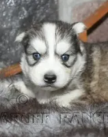 processed/6190875c-1634-4aad-8480-2787a4c2b2b2/facility/bd3e5677-8012-4f2d-908b-9e732cc926bd