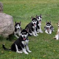 processed/6190875c-1634-4aad-8480-2787a4c2b2b2/facility/c364bf13-b79d-42bc-92cb-d2119a55afdb