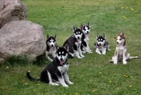 processed/6190875c-1634-4aad-8480-2787a4c2b2b2/facility/c364bf13-b79d-42bc-92cb-d2119a55afdb